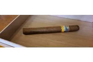 Dryboxing a Cohiba Esplendidos Cigar