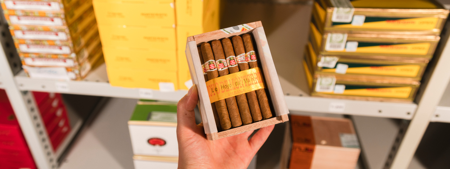 How to Choose First Cigar