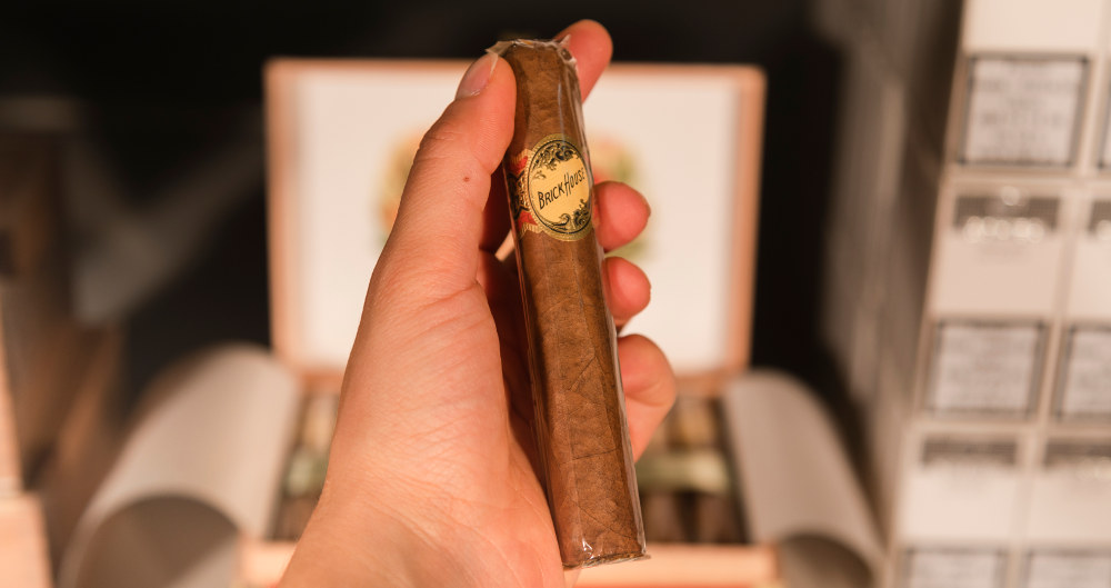 Cigar in Cellophane Wrapper