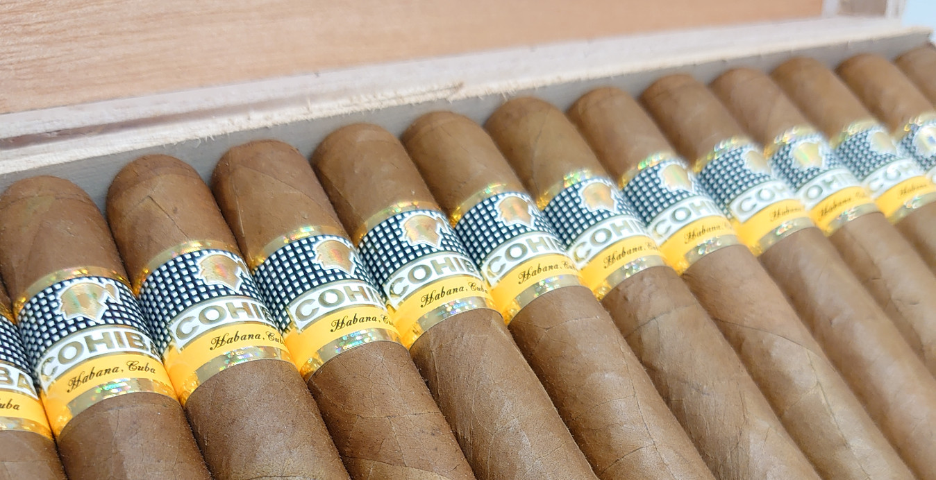 Cohiba Esplendidios Cuban Cigars Resting in a Humidor
